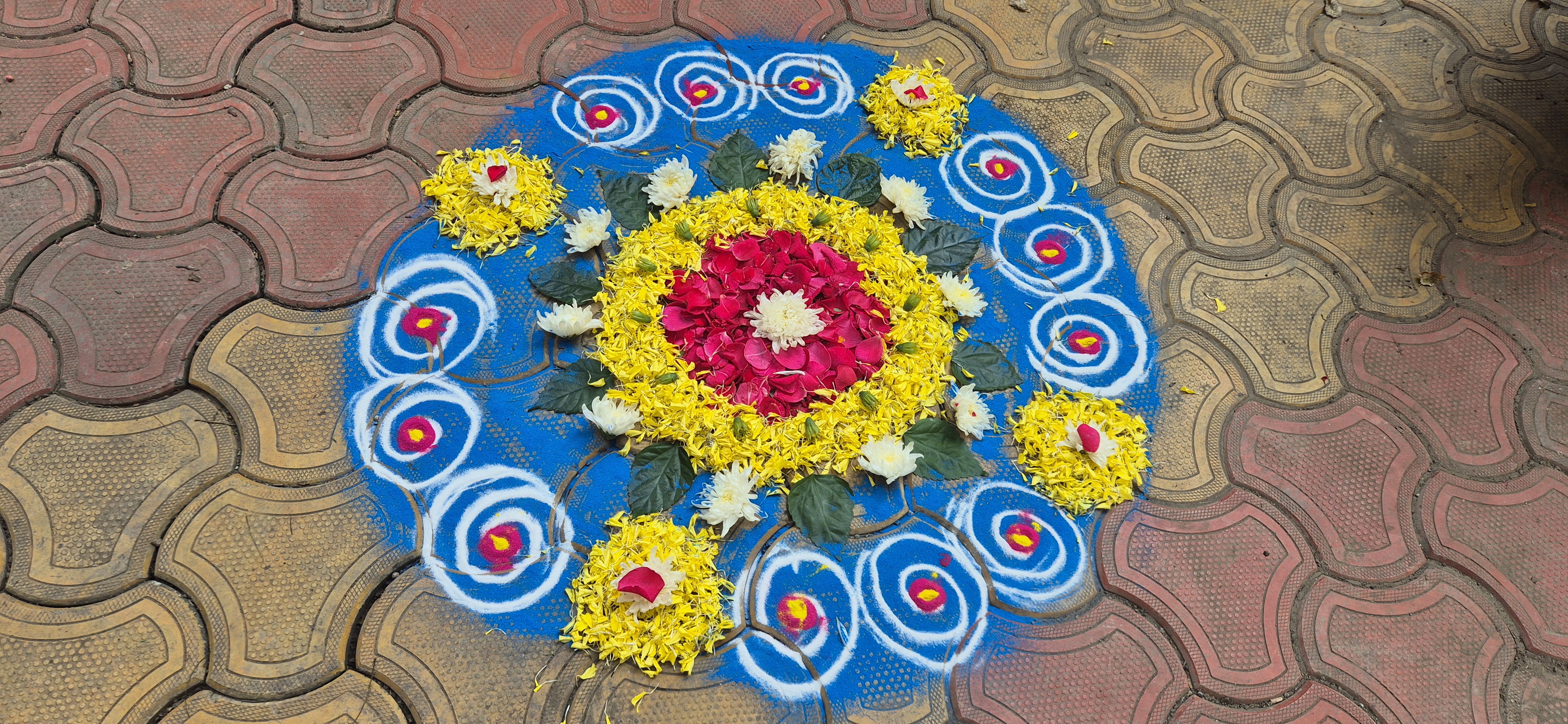 Diwali Celebration